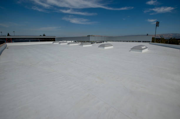 Best Hot Roofs  in Cambridge, MD